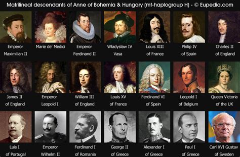 Anyone know the relatives to the other Kings in Europe, is it possible to find the mtDNA of current monarchs today. . Haplogroup h royalty